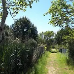 Aurora, Magnifique, Classe 3 Etoiles, 6 Personnes, Acces Direct Plage, Parking Prive, Vue A Travers La Pinede