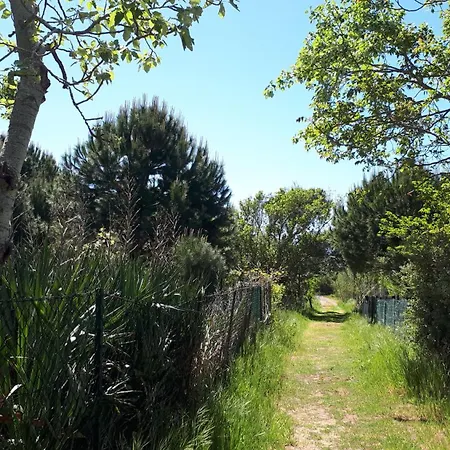 Aurora, Magnifique, Classé 3 étoiles, 6 Personnes, Accès Direct Plage, Parking Privé, Vue à Travers La Pinède