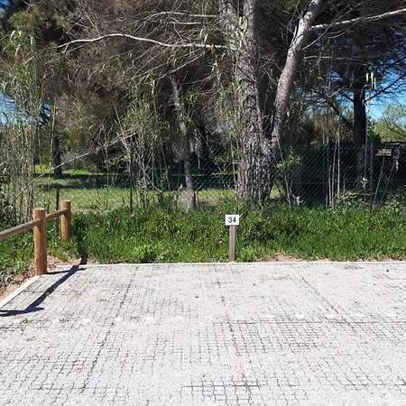 Aurora, Magnifique, Classé 3 étoiles, 6 Personnes, Accès Direct Plage, Parking Privé, Vue à Travers La Pinède Apartamento Vias
