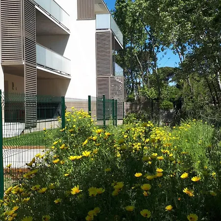 Aurora, Magnifique, Classe 3 Etoiles, 6 Personnes, Acces Direct Plage, Parking Prive, Vue A Travers La Pinede * Vias