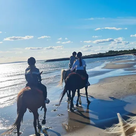Aurora, Magnifique, Classé 3 étoiles, 6 Personnes, Accès Direct Plage, Parking Privé, Vue à Travers La Pinède Apartamento Vias