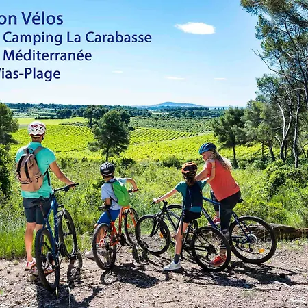 Aurora, Magnifique, Classé 3 étoiles, 6 Personnes, Accès Direct Plage, Parking Privé, Vue à Travers La Pinède Apartamento *
